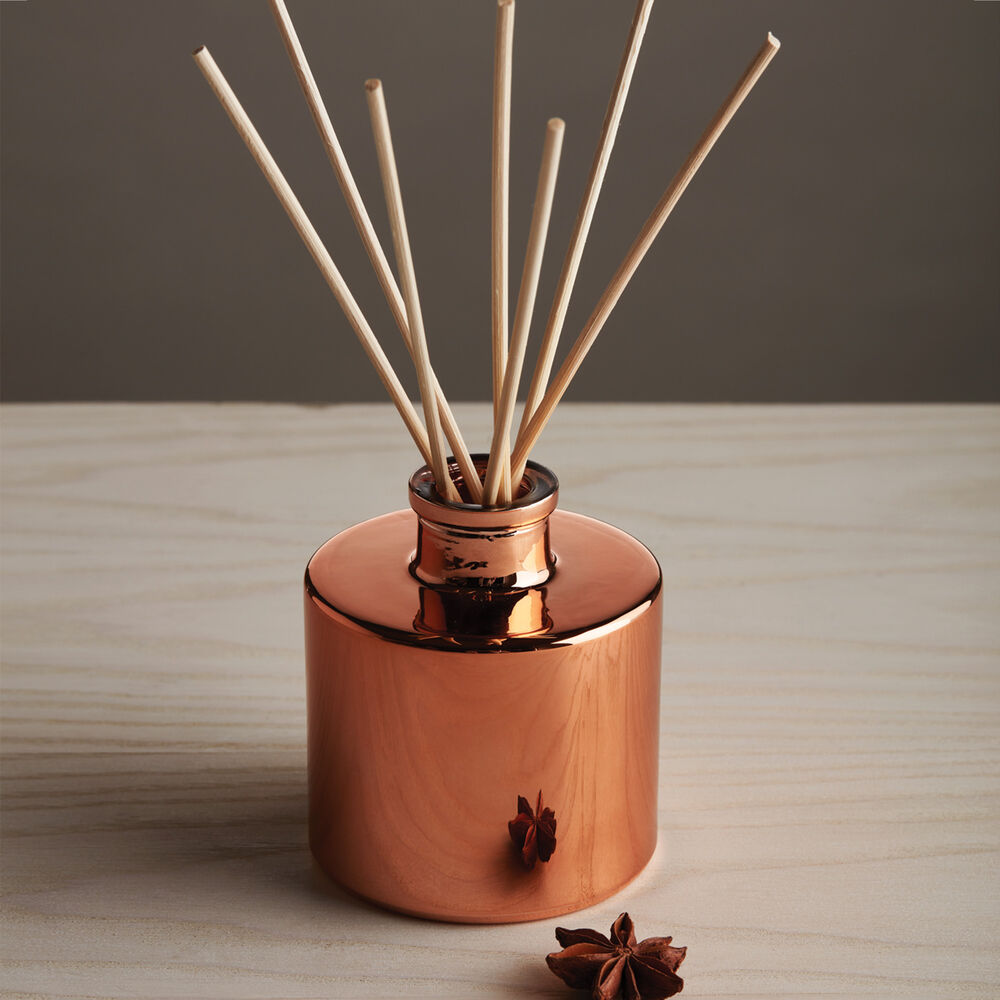 Thymes Simmered Cider Petite Reed Diffuser On Display image number 2